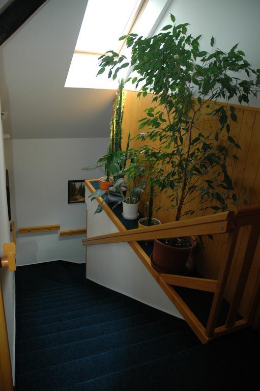 Privát Nováč Nove Mesto nad Metuji Exterior foto